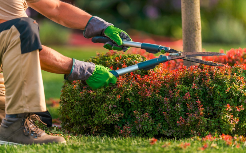 Garden Maintenance